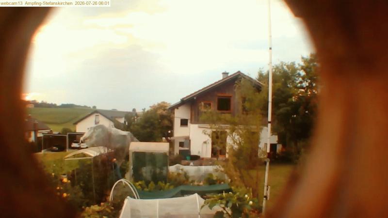 xxFoto von 2026-07-26_060140