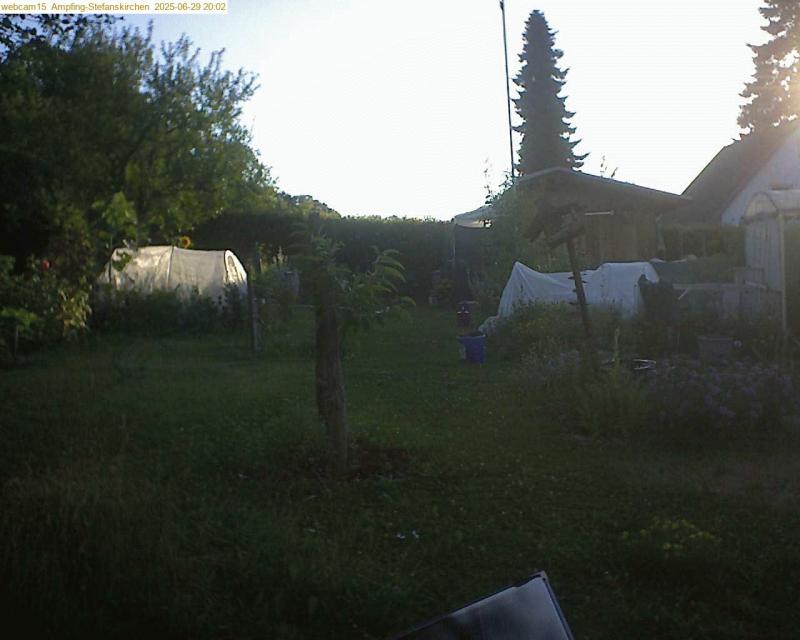 xxFoto von 2025-06-29_200205
