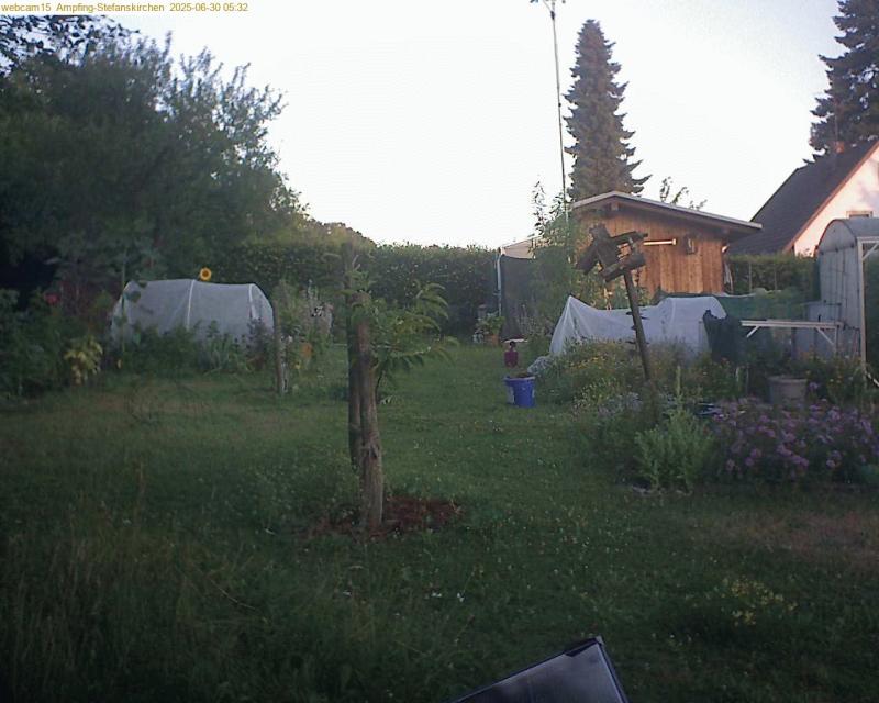 xxFoto von 2025-06-30_053205