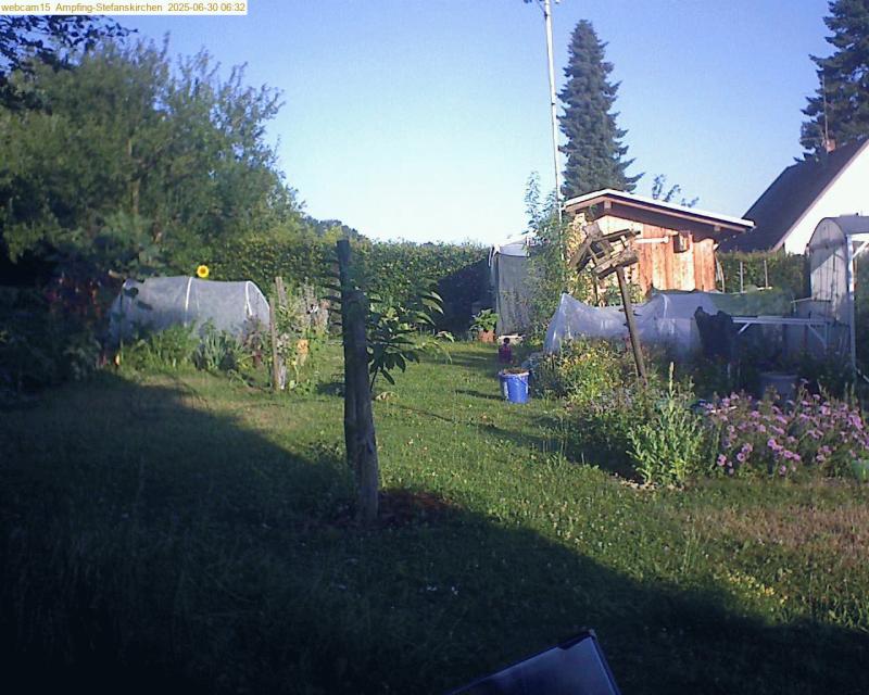xxFoto von 2025-06-30_063200
