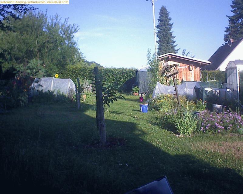 xxFoto von 2025-06-30_070154