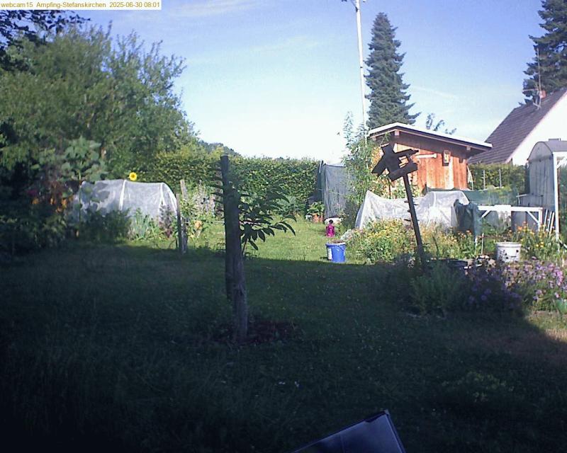 xxFoto von 2025-06-30_080155