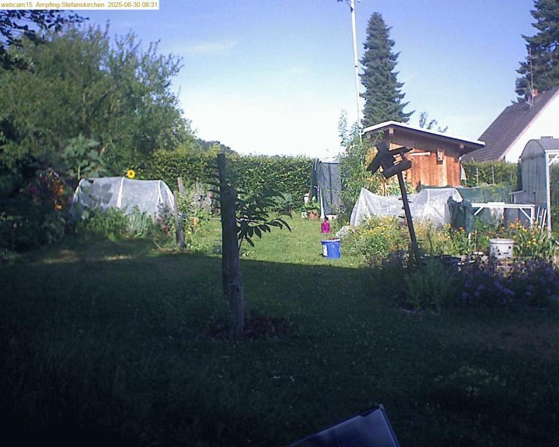 xxFoto von 2025-06-30_083158