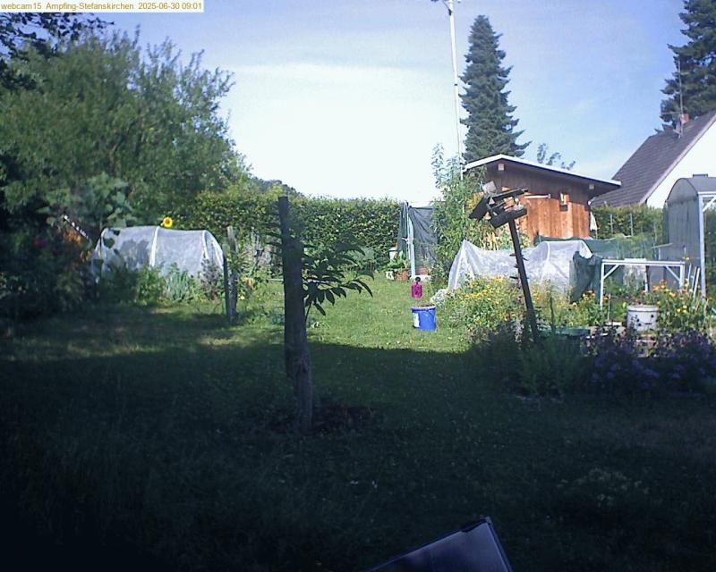 xxFoto von 2025-06-30_090155