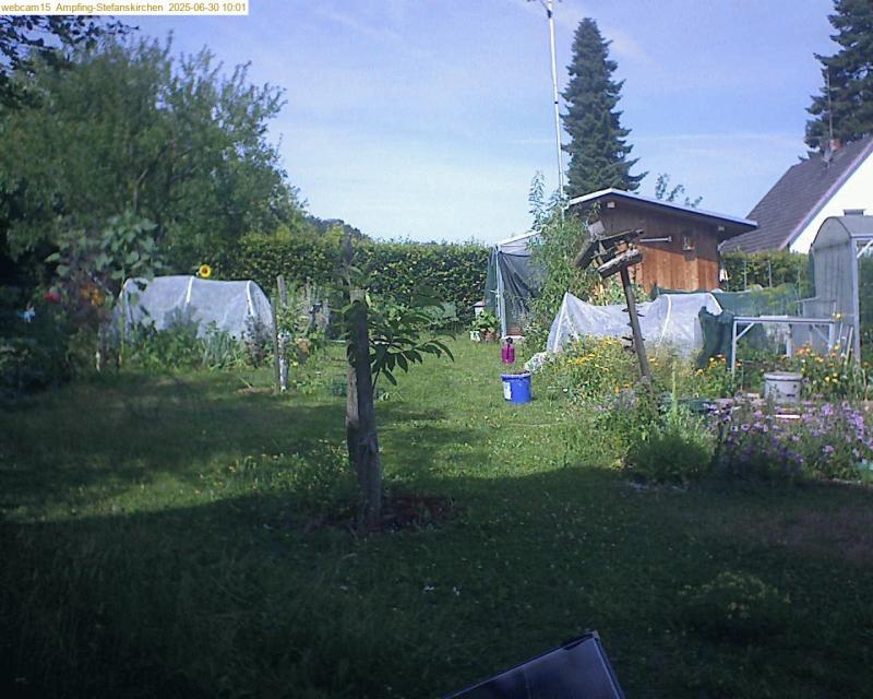 xxFoto von 2025-06-30_100155