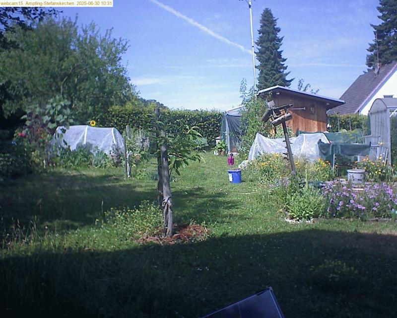 xxFoto von 2025-06-30_103154