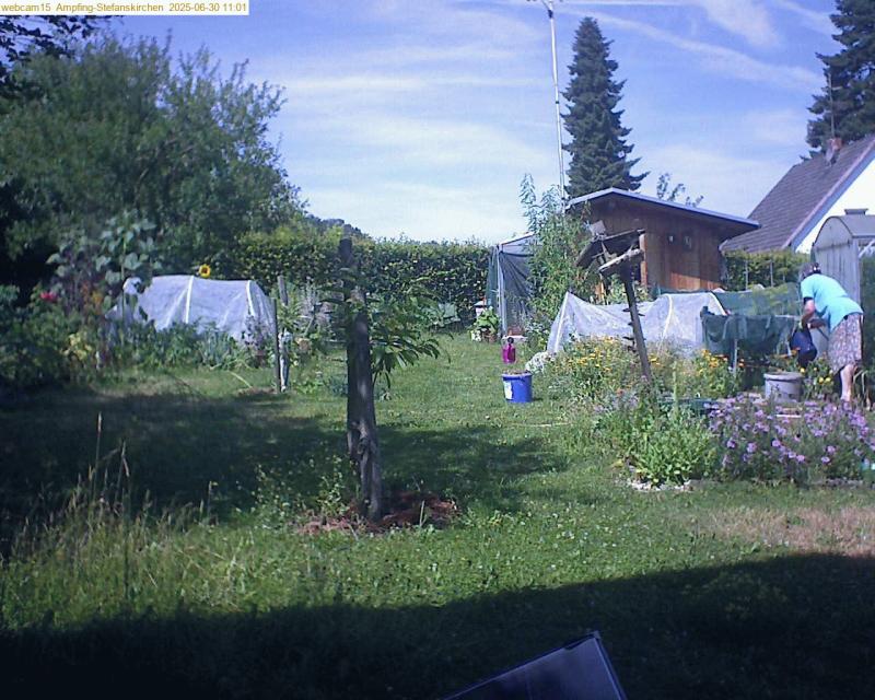 xxFoto von 2025-06-30_110159
