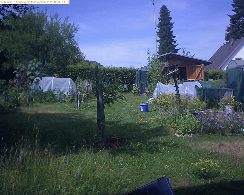 xxFoto von 2025-06-30_113156
