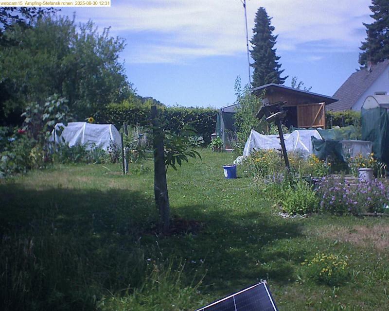 xxFoto von 2025-06-30_123156