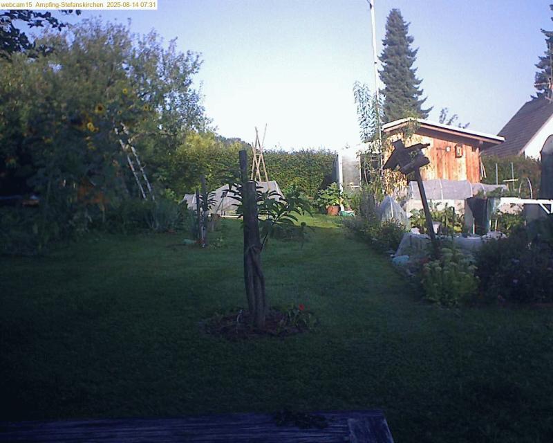 xxFoto von 2025-08-14_073155
