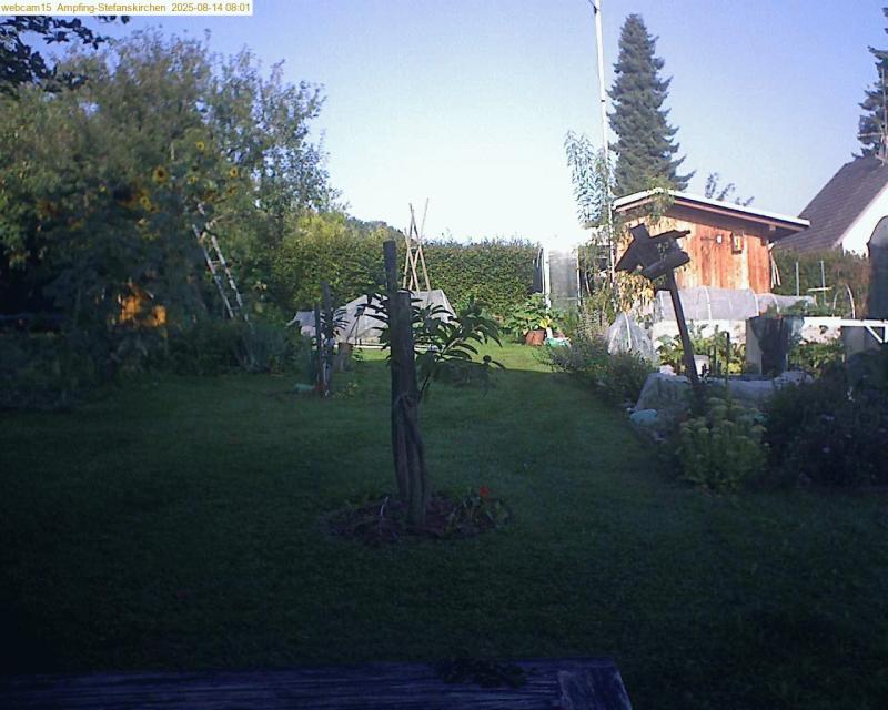xxFoto von 2025-08-14_080159
