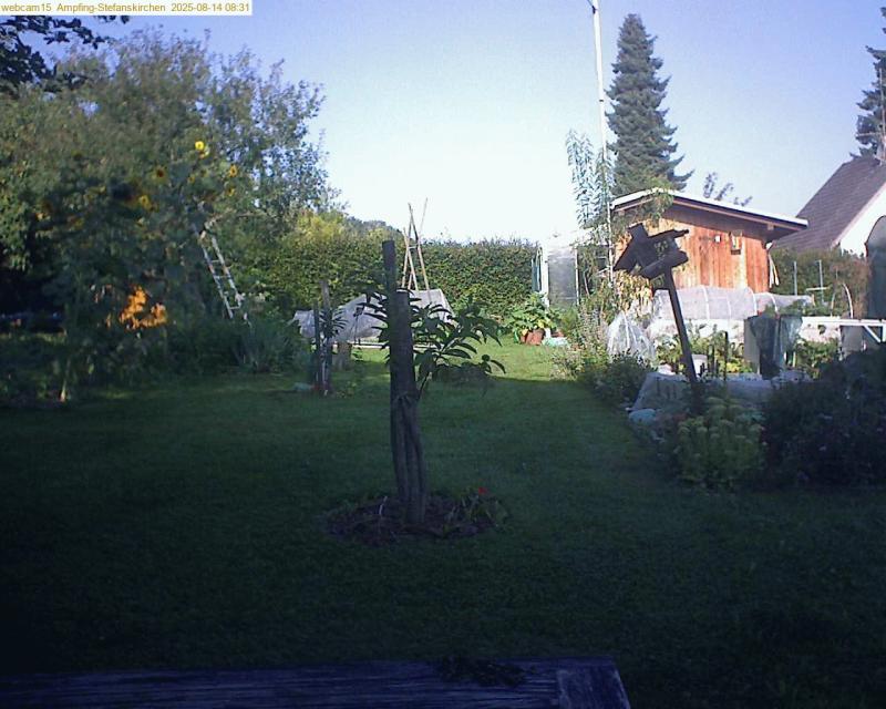 xxFoto von 2025-08-14_083158