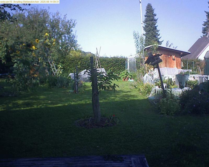 xxFoto von 2025-08-14_093157