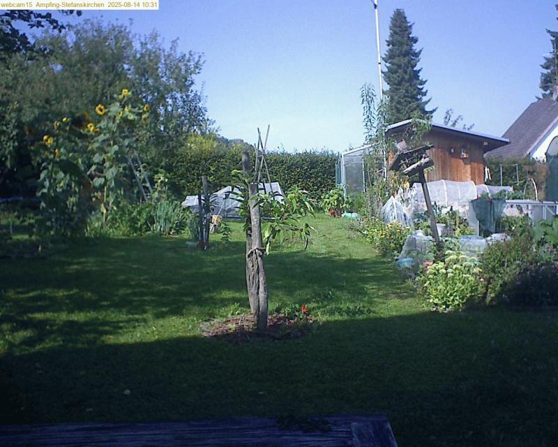 xxFoto von 2025-08-14_103158