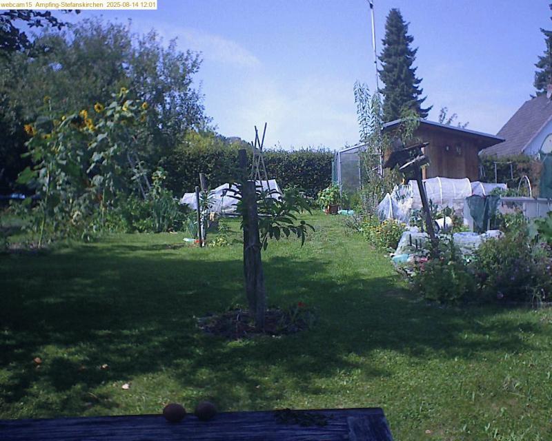 xxFoto von 2025-08-14_120159