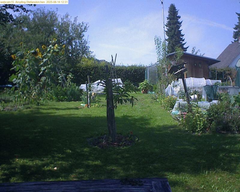 xxFoto von 2025-08-14_123159