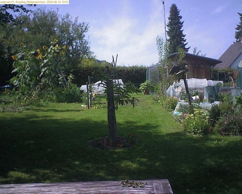 xxFoto von 2025-08-14_130159