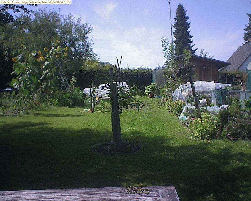 xxFoto von 2025-08-14_133159