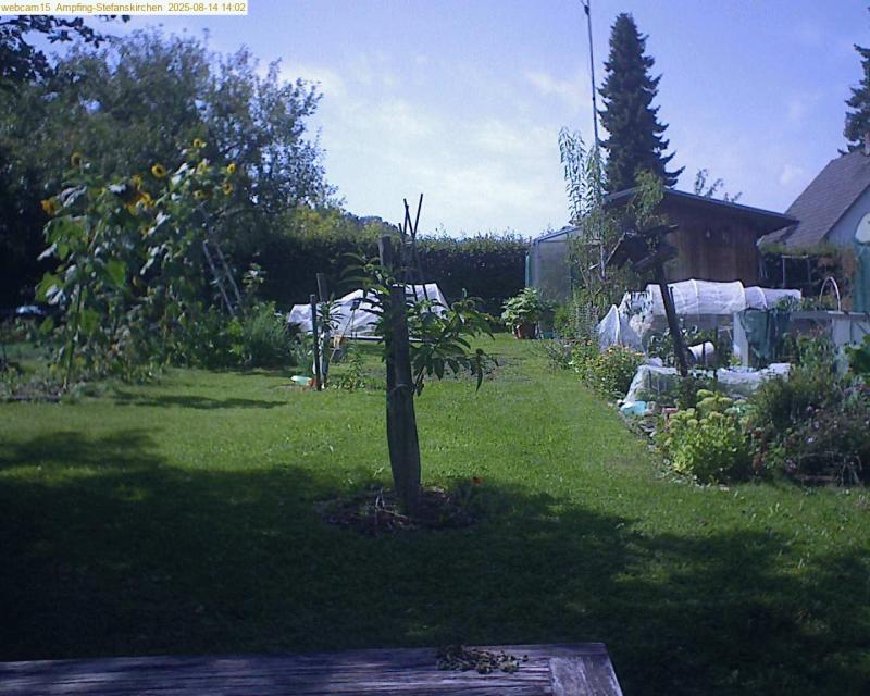 xxFoto von 2025-08-14_140200