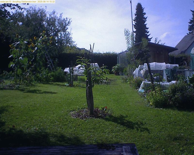 xxFoto von 2025-08-14_153208