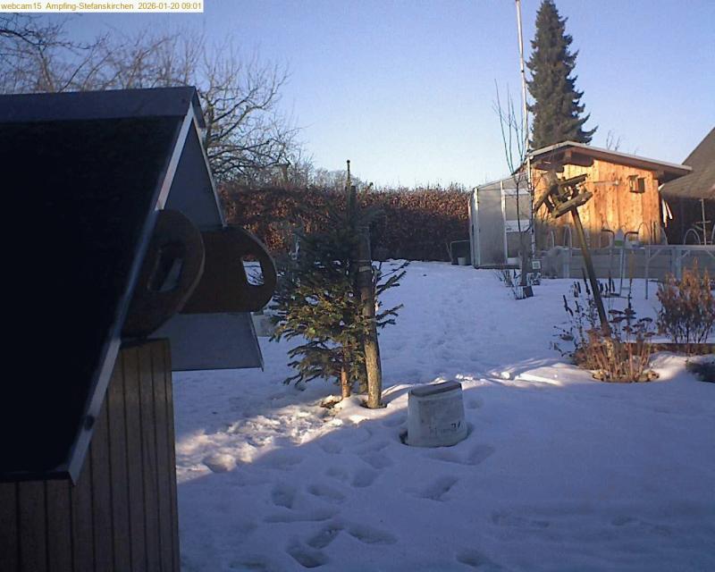 xxFoto von 2026-01-20_090144