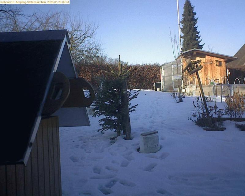 xxFoto von 2026-01-20_093144