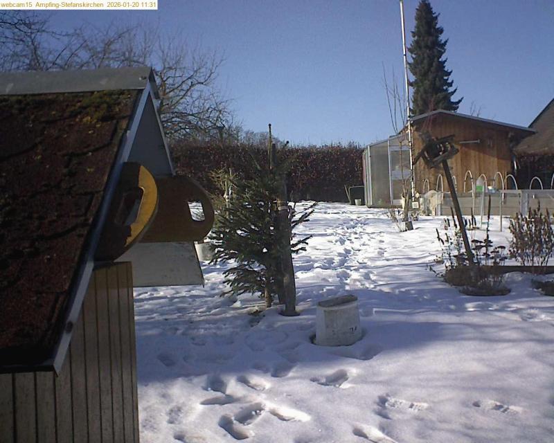 xxFoto von 2026-01-20_113148