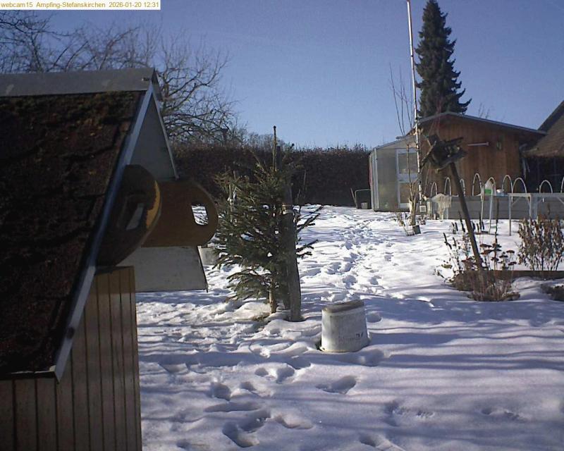 xxFoto von 2026-01-20_123141