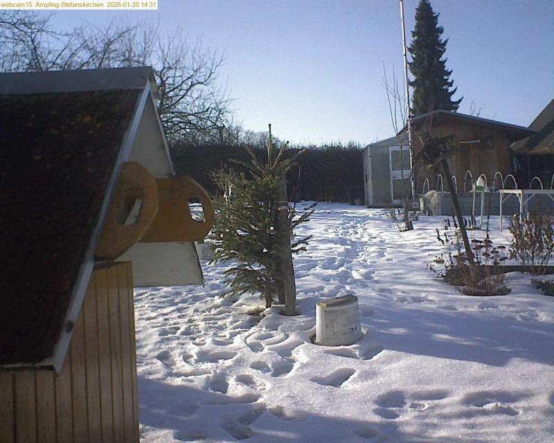 xxFoto von 2026-01-20_143138