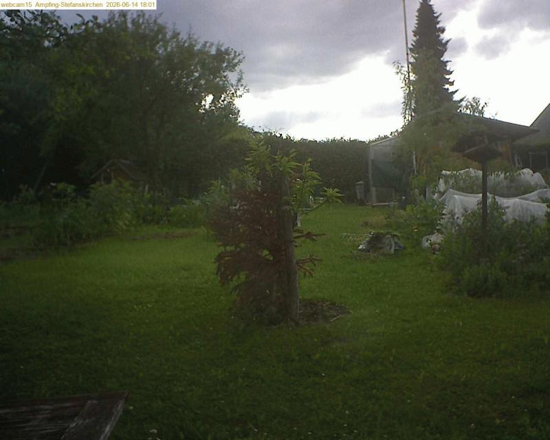 xxFoto von 2026-06-14_180149