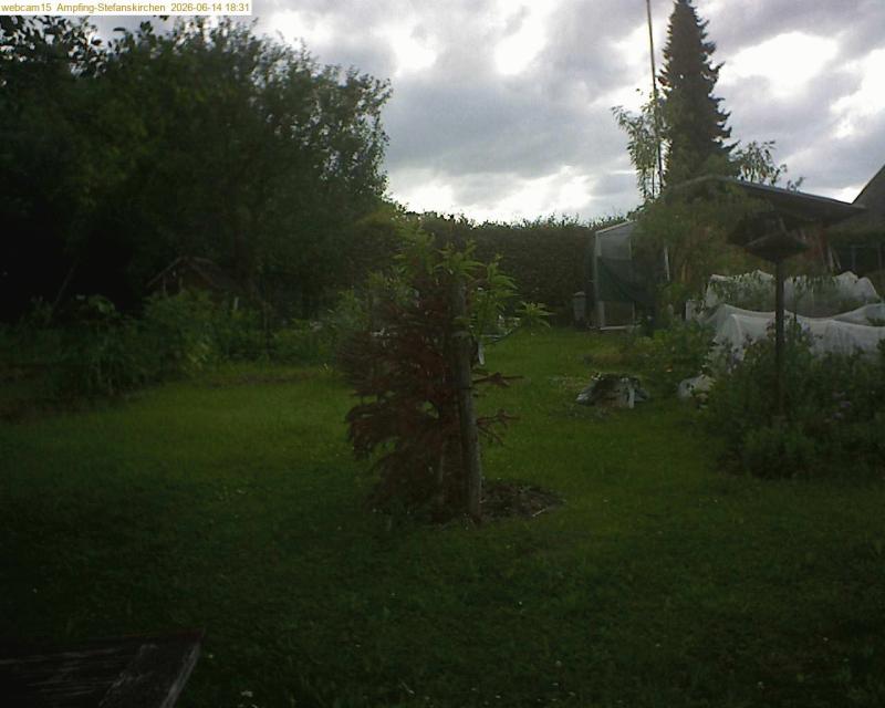xxFoto von 2026-06-14_183149