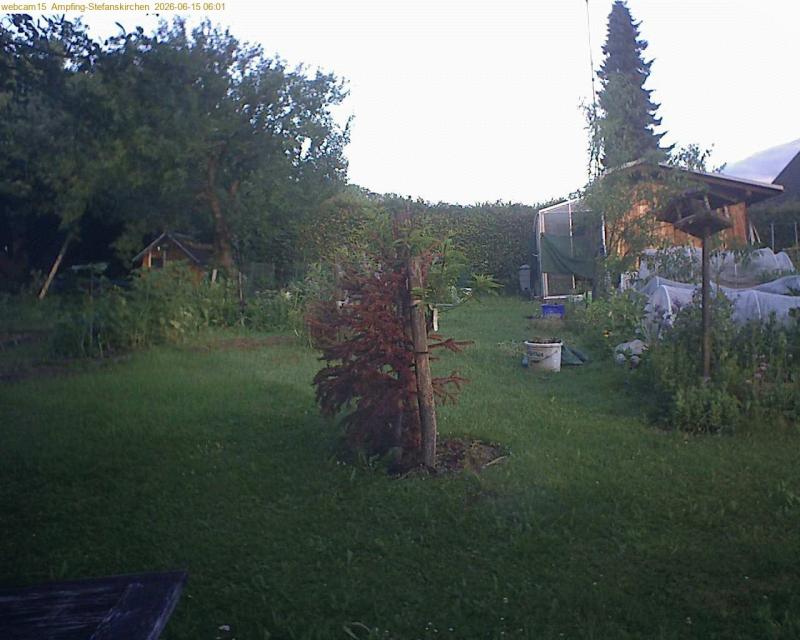 xxFoto von 2026-06-15_060148