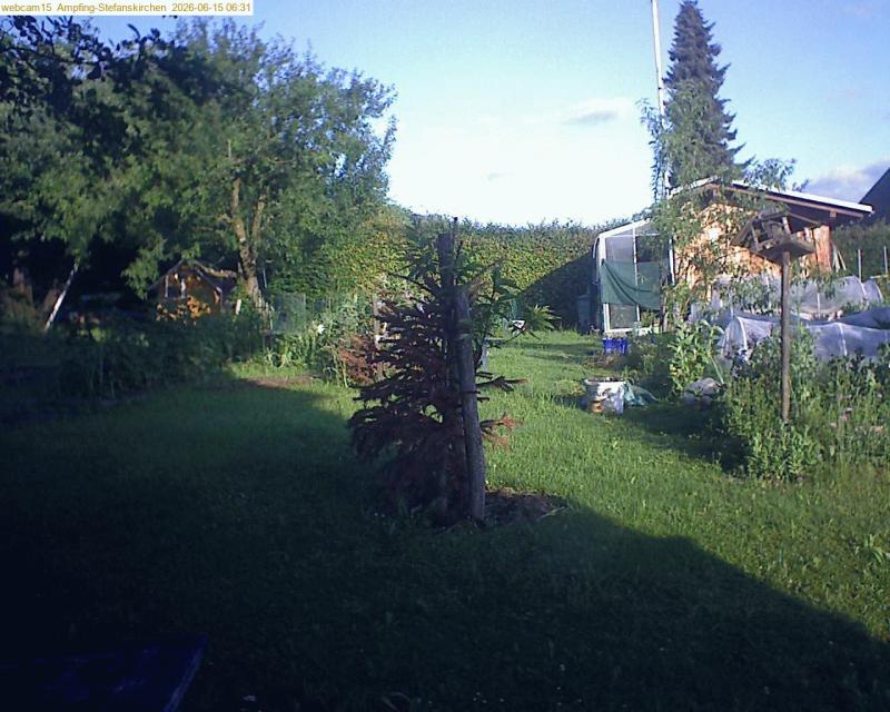 xxFoto von 2026-06-15_063148