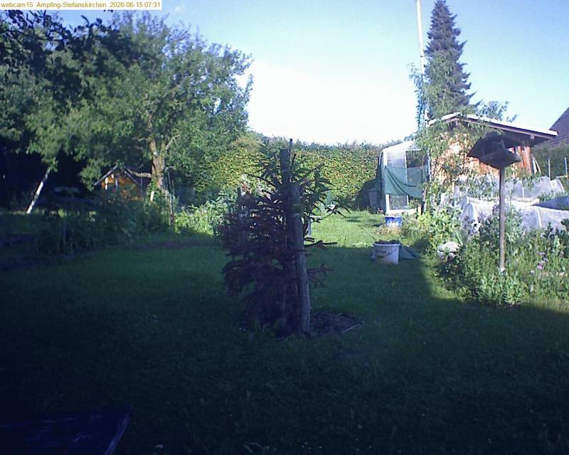 xxFoto von 2026-06-15_073147