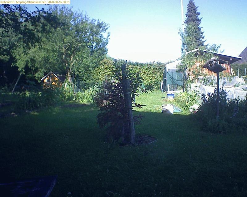 xxFoto von 2026-06-15_083142
