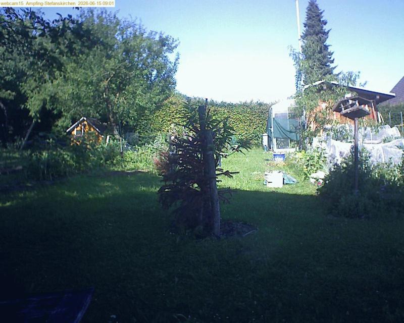 xxFoto von 2026-06-15_090149