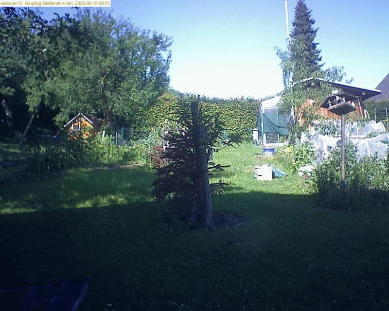 xxFoto von 2026-06-15_093149