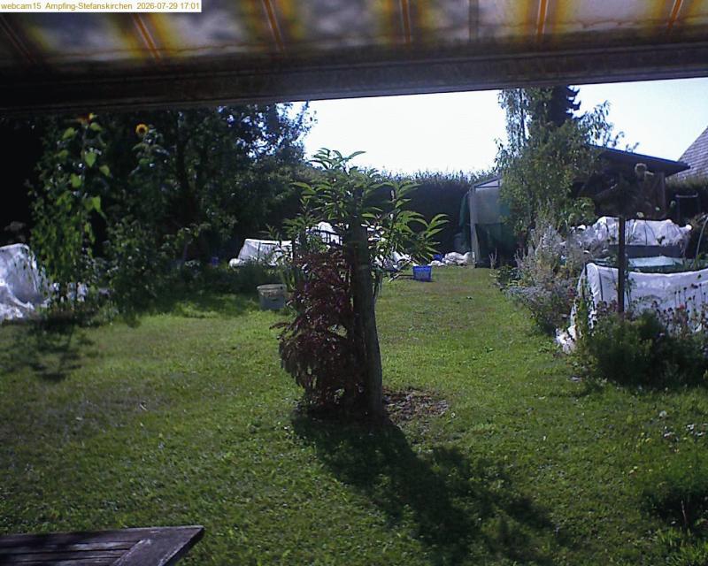 xxFoto von 2026-07-29_170153