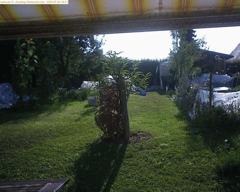 xxFoto von 2026-07-29_183153