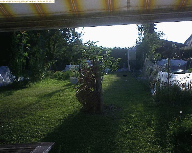 xxFoto von 2026-07-29_190150