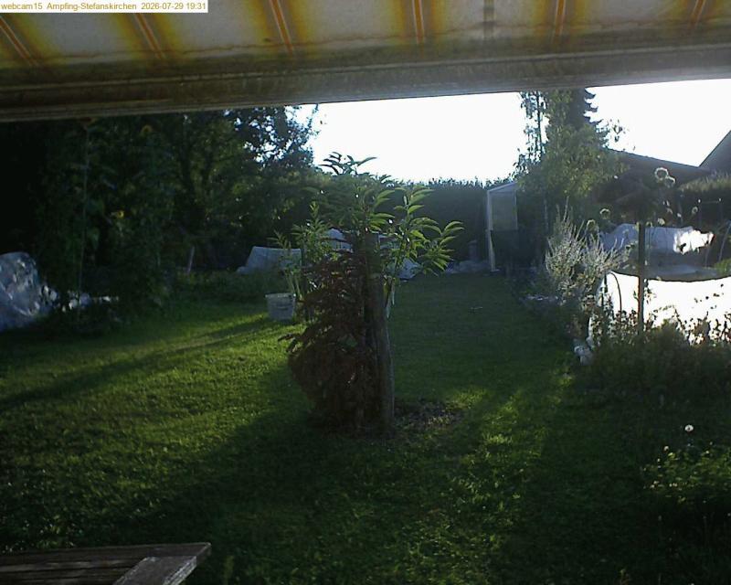 xxFoto von 2026-07-29_193150