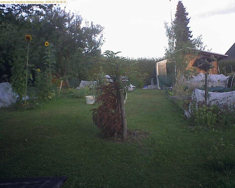 xxFoto von 2026-07-30_063213