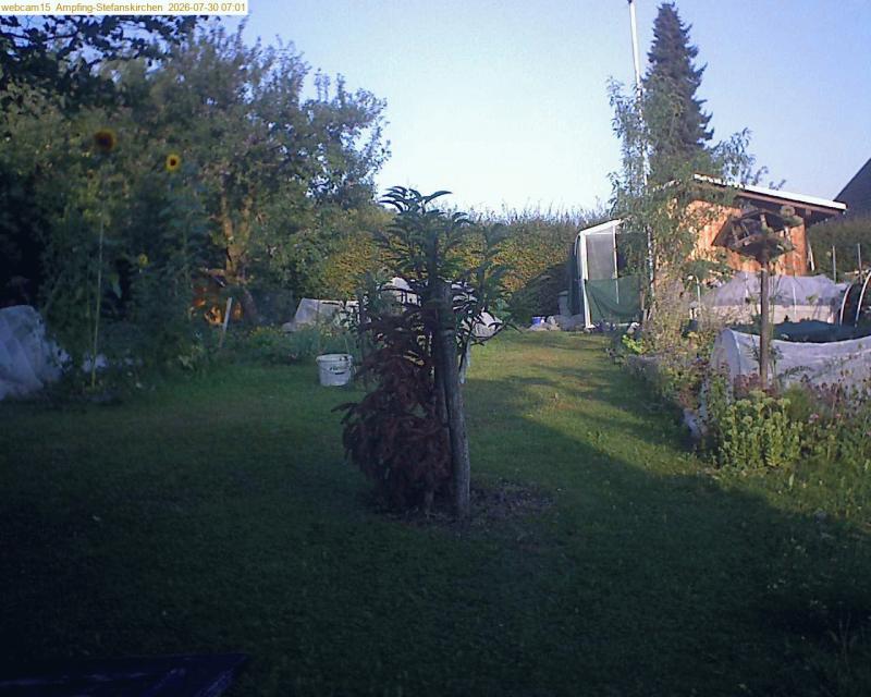 xxFoto von 2026-07-30_070139