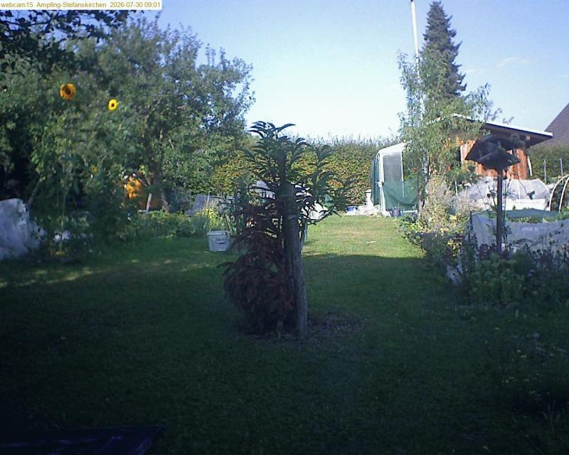 xxFoto von 2026-07-30_090149