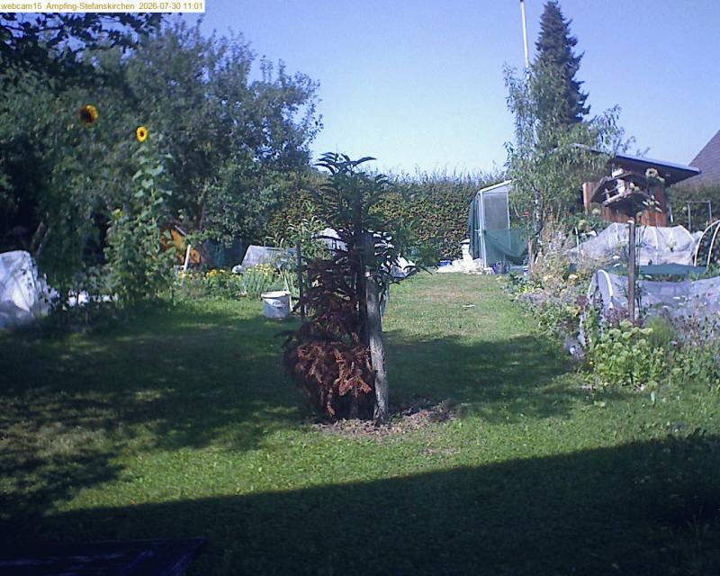 xxFoto von 2026-07-30_110153
