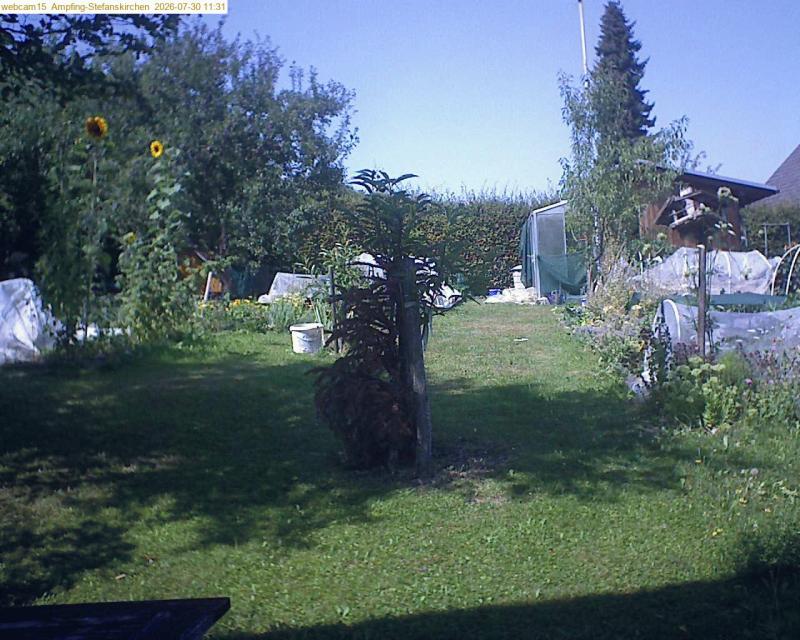 xxFoto von 2026-07-30_113155
