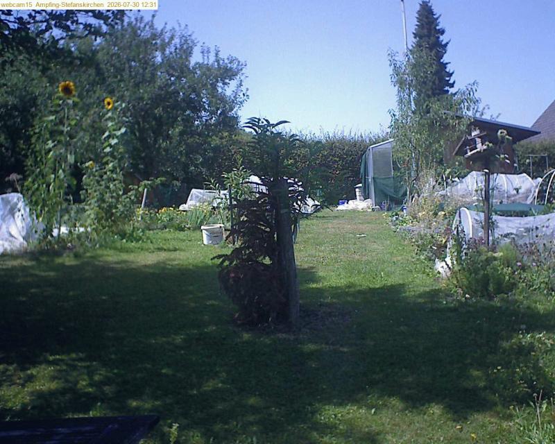 xxFoto von 2026-07-30_123154