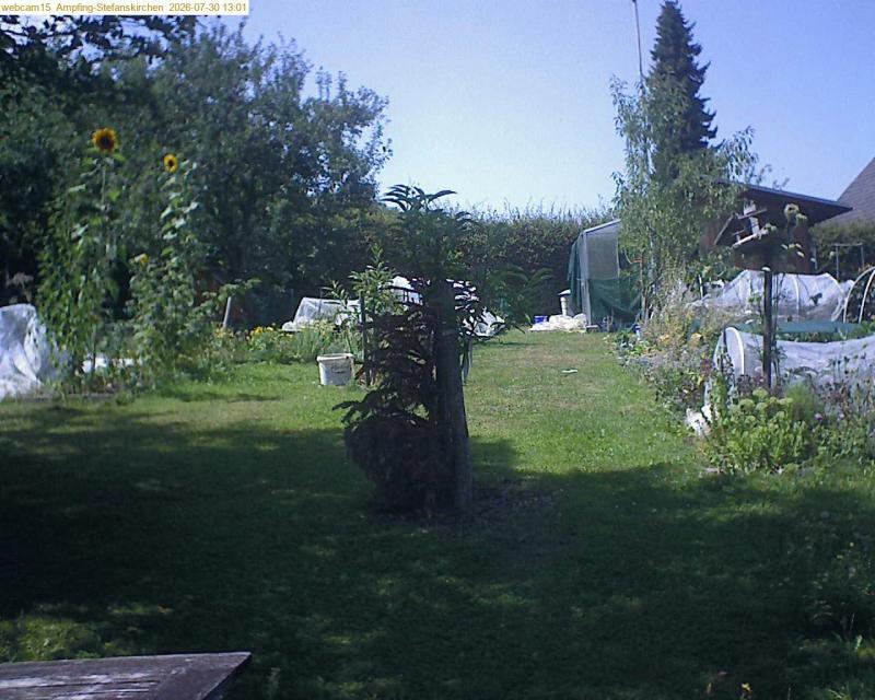 xxFoto von 2026-07-30_130152