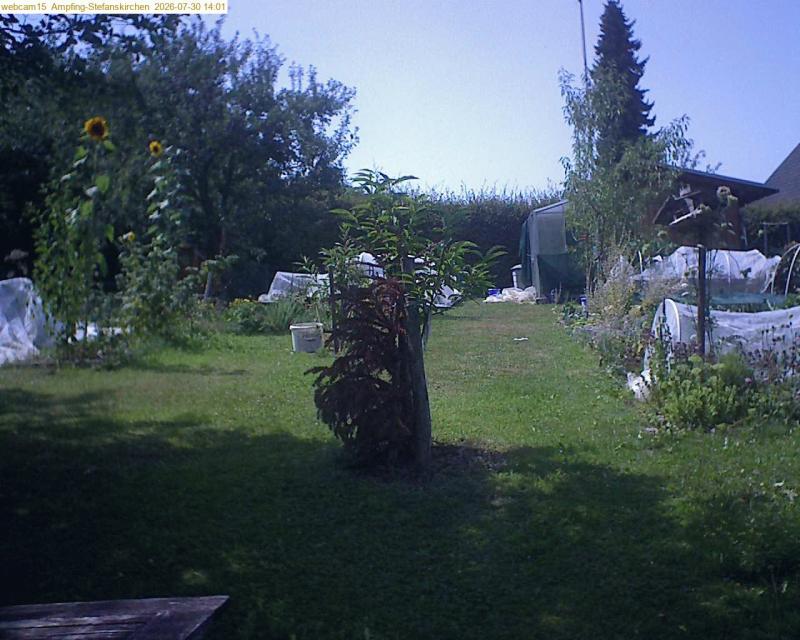 xxFoto von 2026-07-30_140155
