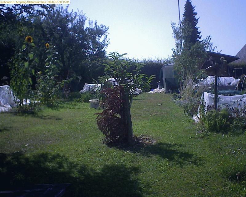 xxFoto von 2026-07-30_153155